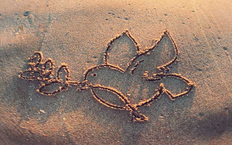 dove and olive branch peace symbol drawn in sand on a beach for places of worship guide