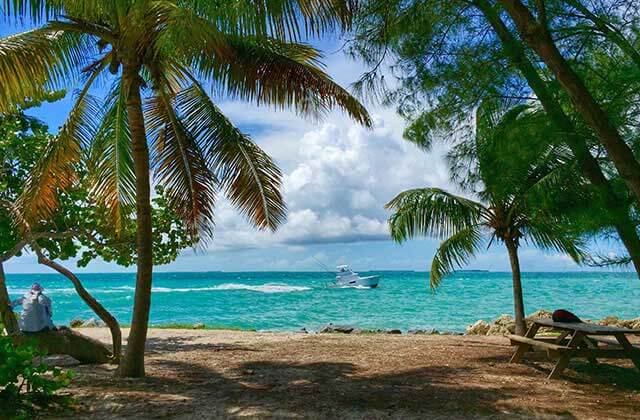 key west shore with fishing boat palm trees and picnic table for relax on a beach page