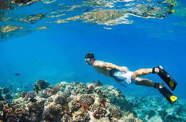 male swimmer in scuba gear free diving underwater and looking at coral reef for relax on a beach page