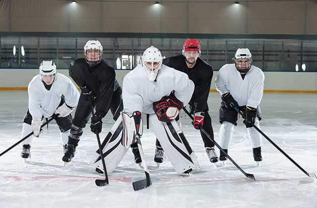 professional hockey team on ice for florida sports page