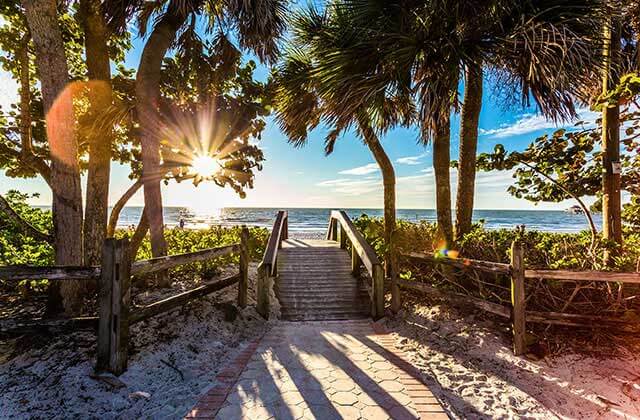 trees with sun flare and wooden bridge over dunes at jacksonville for relax on a beach page