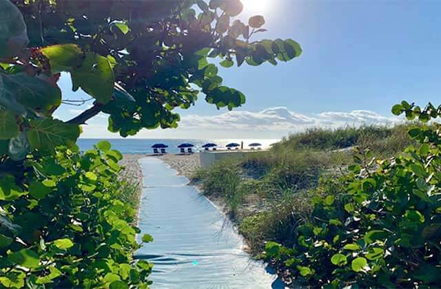 accessible pathway through trees to beach with blue umbrellas and lounge chairs at delray beaches