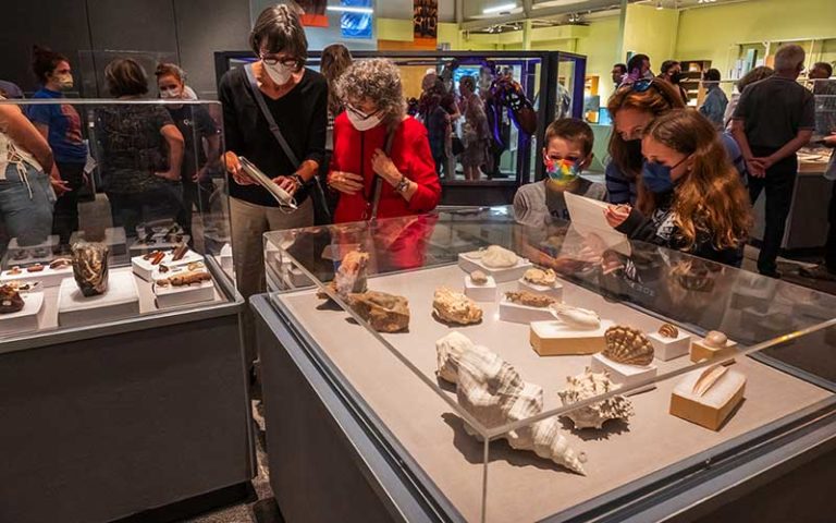 kids and older ladies view glass cases of bones exhibit for science up close fantastic fossils at florida museum gainesville