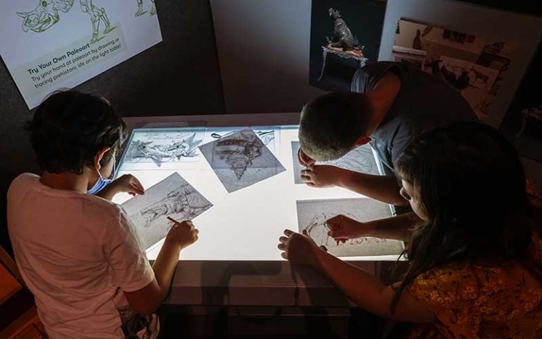several kids drawing dinosaur skeletons on lightbox exhibit for science up close fantastic fossils at florida museum gainesville