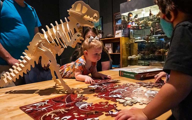 toddler with parents interacting with dinosaur bone puzzle for science up close fantastic fossils at florida museum gainesville