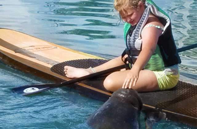 young girl touches a manatee nose while sitting on a paddle board on a stand up paddle board tour with three brothers adventures