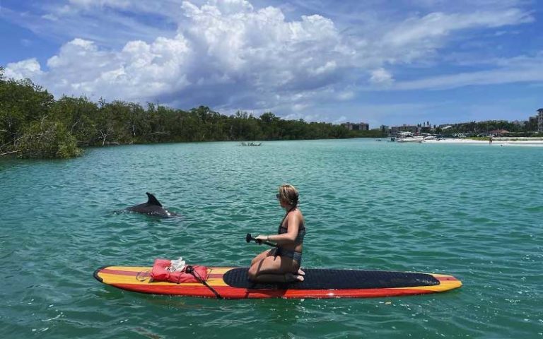 woman on paddleboard near dolphin at three brothers boards fort myers