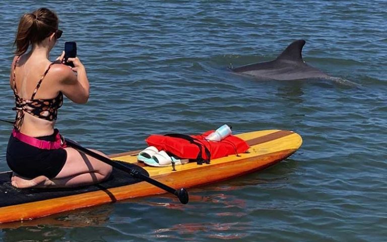 woman with smartphone taking photo from paddleboard of dolphin at three brothers boards st augustine