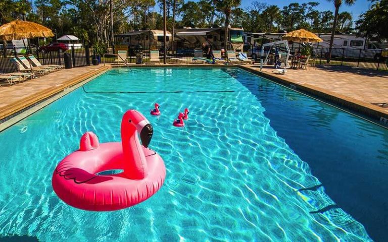 pool with flamingo floaties and rvs in the background at naples marco island koa holiday
