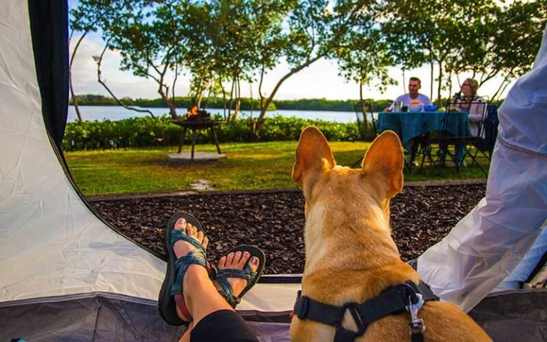 womans feet relaxing with dog looking out of tent at lake and campfire at st petersburg madeira beach koa holiday