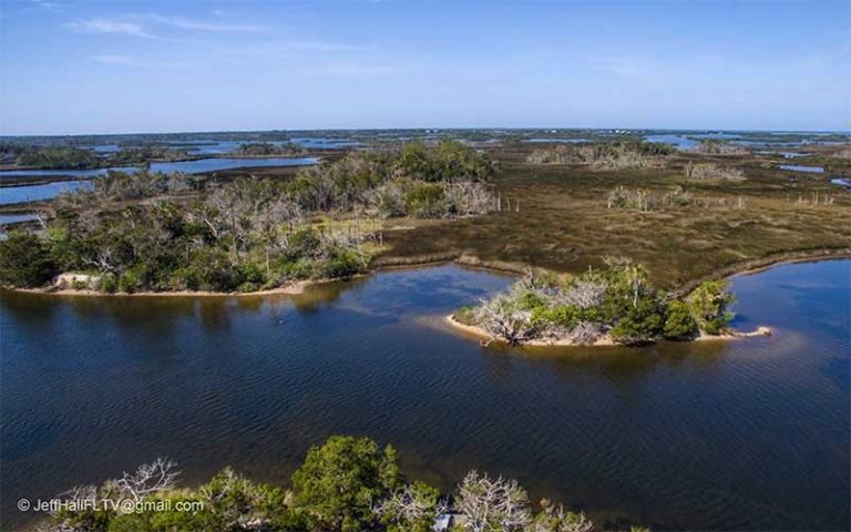 aerial view of marsh and river at crystal river preserve state park