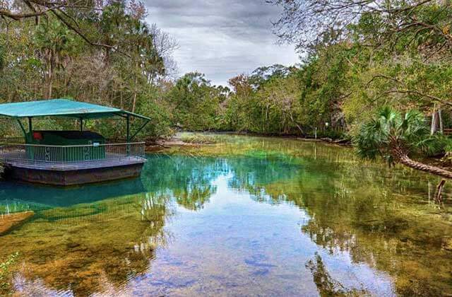 clear spring water with fish bowl floating underwater observatory at homosassa springs wildlife state park