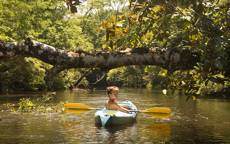 young boy in kayak with yellow paddle floating below large tree over water for incredible kayaking in florida from enjoy florida blog