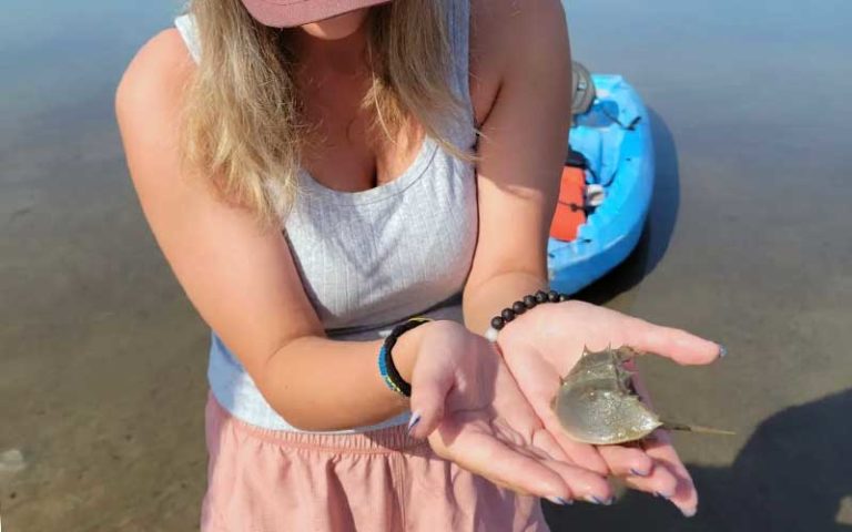 lady holding hermit crab with paddleboard behind at three brothers boards