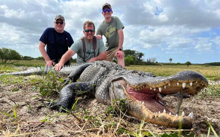 three men posing with large alligator on grass at florida adventure outfitters miami