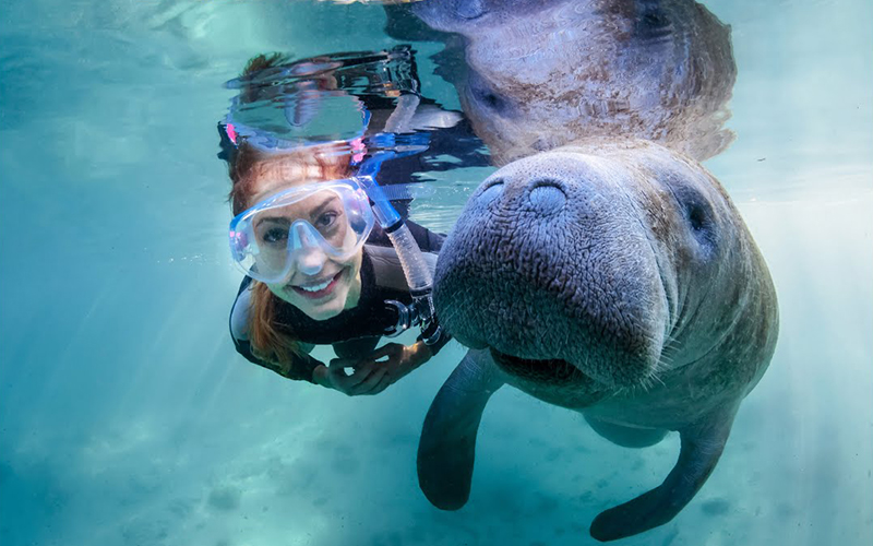 female scuba diver smiling with manatee underwater for real florida adventures