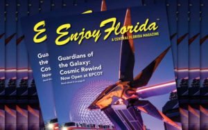 stacks of magazine with night sky purple lighting epcot globe monorail and space ship for guardians of the galaxy enjoy florida magazine cover