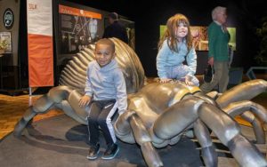 boy and girl climb on large tarantula statue at spiders alive exhibit at the florida museum gainesville