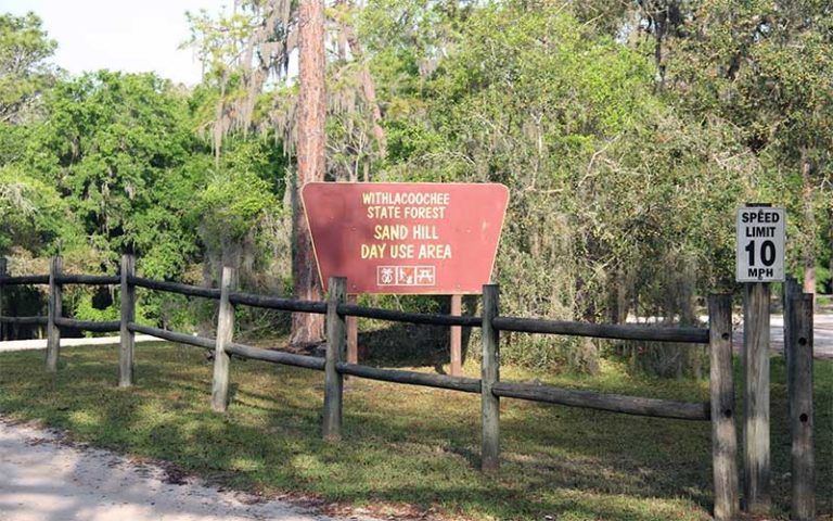 withlacoochee state forest sign with fence and trees at moore atv rentals