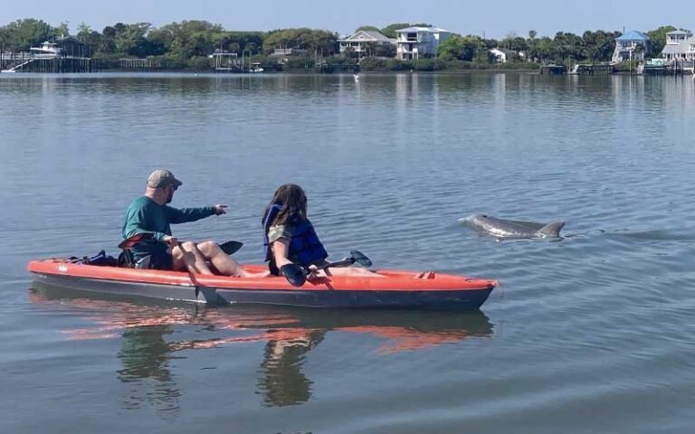 couple in red and black kayak on inlet with man pointing at dolphin swimming with houses on bank in background at three brothers adventure tours cocoa beach