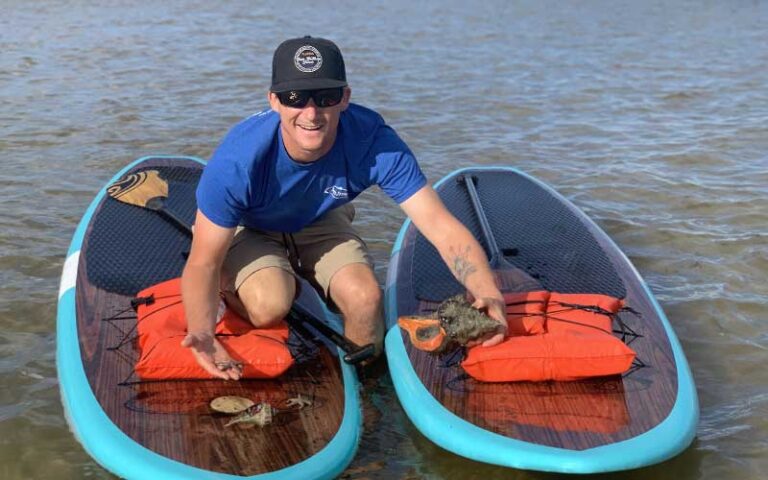 man on two paddle boards holding shells and marine items at three brothers adventure tours marco island