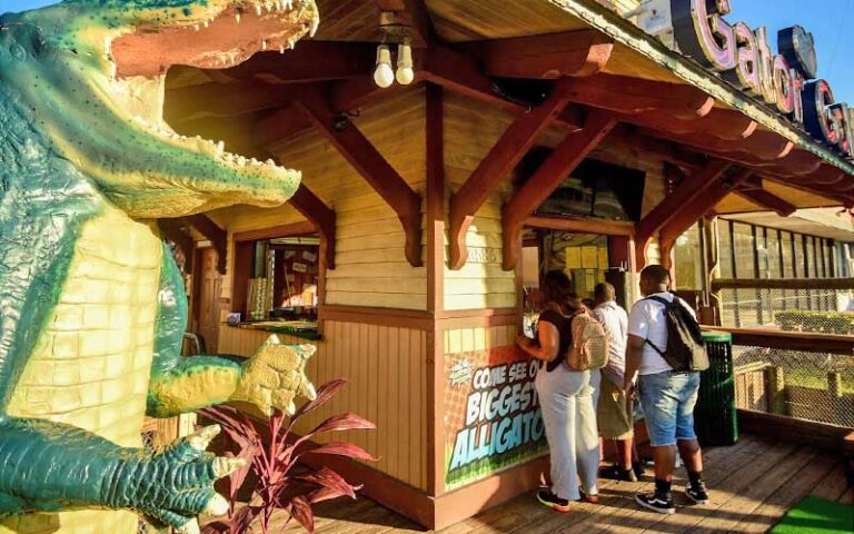 service desk hut with golfers in line with large alligator statue at gator golf adventure park orlando