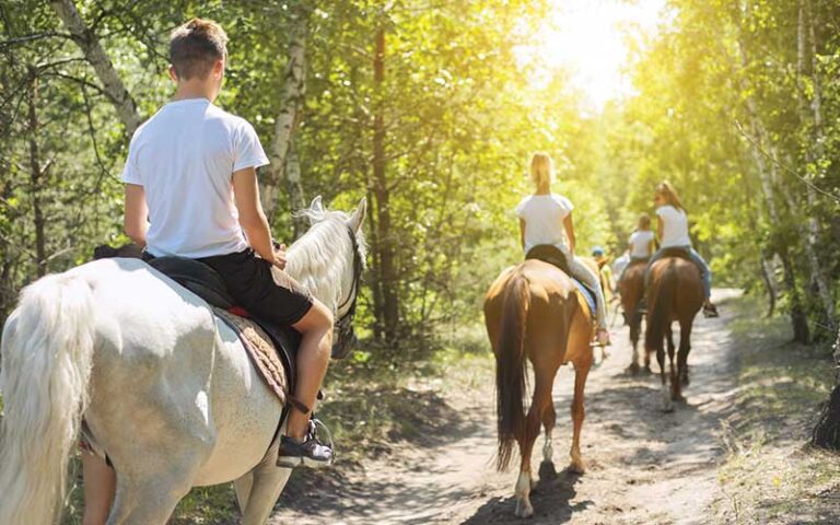teens on horseback riding on sunny trail at green lakes farm kissimmee