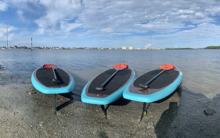 three blue and red paddle boards on shore of inlet with housing on other bank at three brothers adventure tours naples