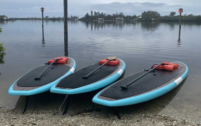 three paddle boards on shore of inlet with mangroves at three brothers adventure tours sarasota