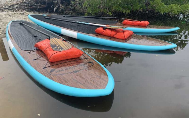 three paddle boards with oars ready on sand with trees at three brothers adventure tours sarasota