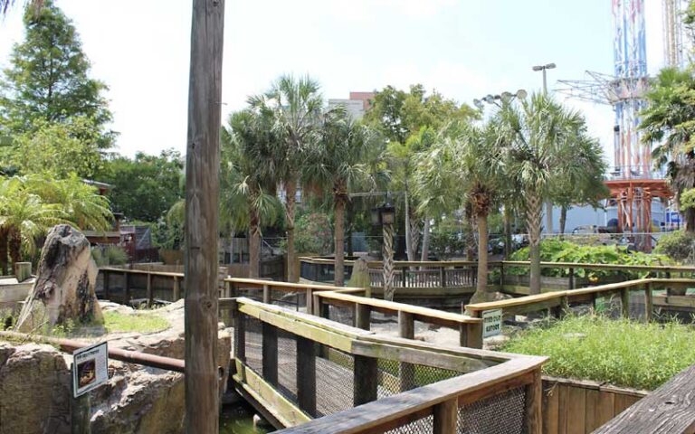 tropical themed mini golf holes and landscaping at gator golf adventure park orlando