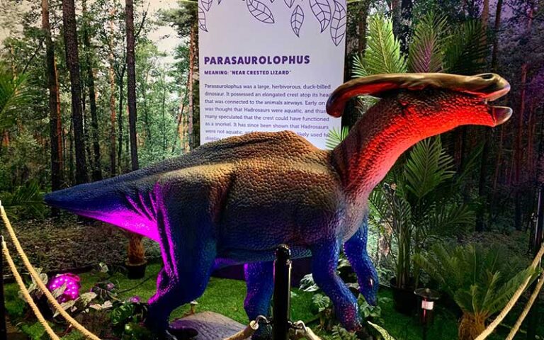 dinosaur exhibit with colorful lighting at mosh museum of science history jacksonville