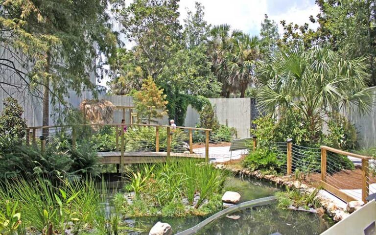 garden area in courtyard with bridge trees and foliage at mosh museum of science history jacksonville