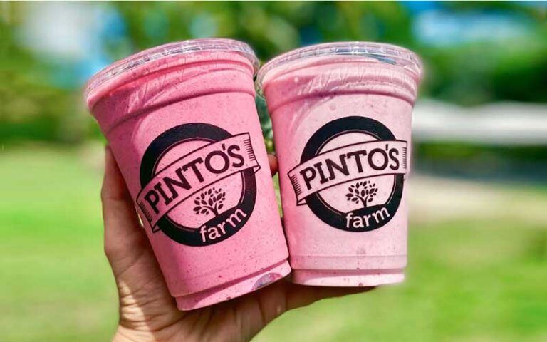 hand holding two pink smoothies with branded cups at pintos farm miami