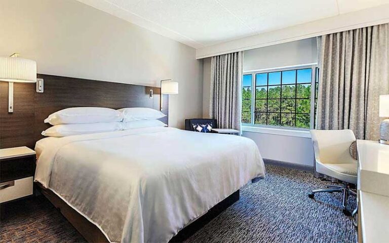 king bed suite at sheraton hotel jacksonville