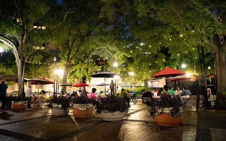 lit up trees at night over plaza area at james weldon johnson park jacksonville