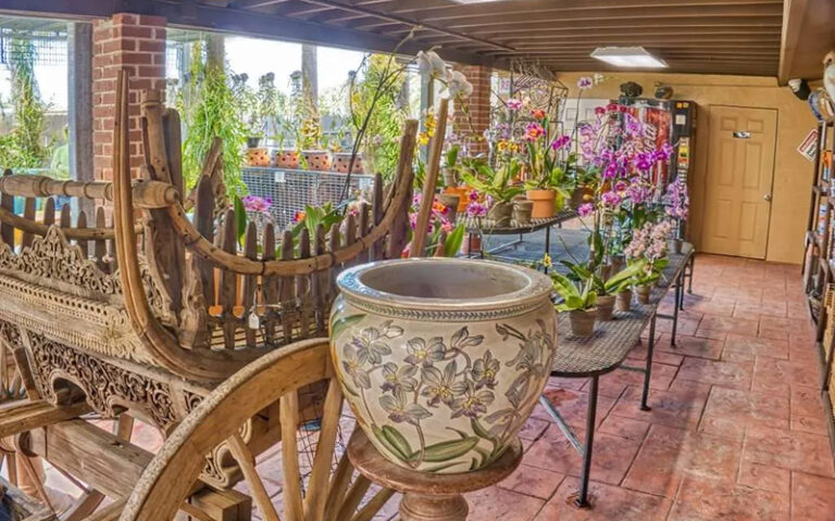 patio area with pots and tables with orchids at r f orchid homestead