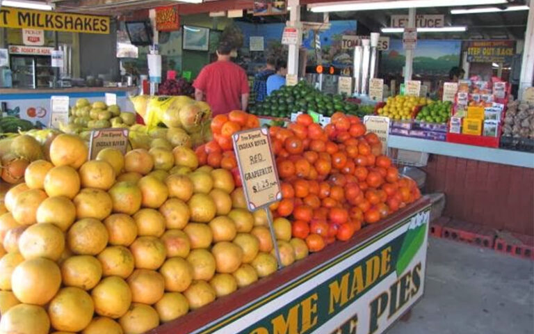produce market with stacked oranges and grapefruits at robert is here fruit stand homestead