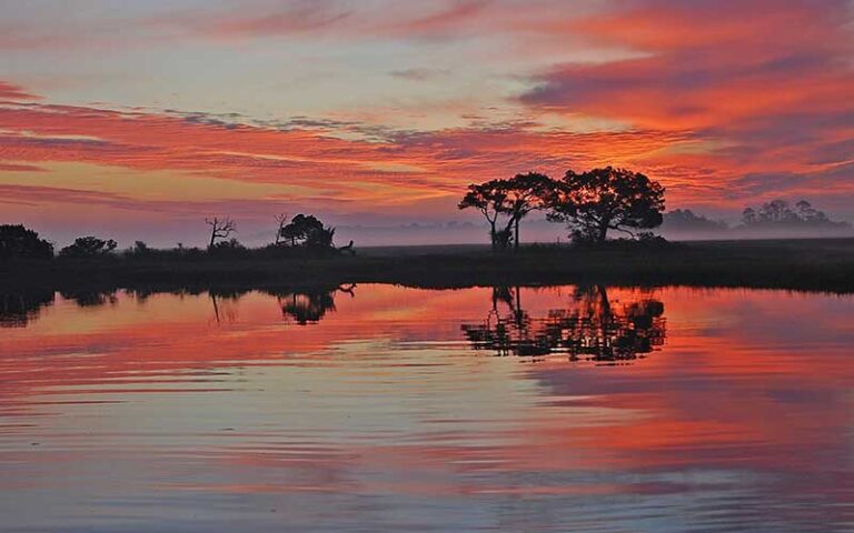 purple and orange sunset over swamp area at timucuan preserve jacksonville