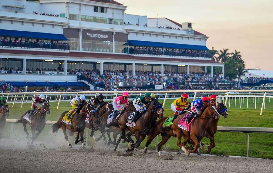 row of horses racing on track with gulfstream building in background