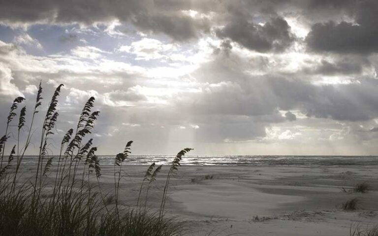 silvery sunset on beach with sea oats at little talbot island state park jacksonville