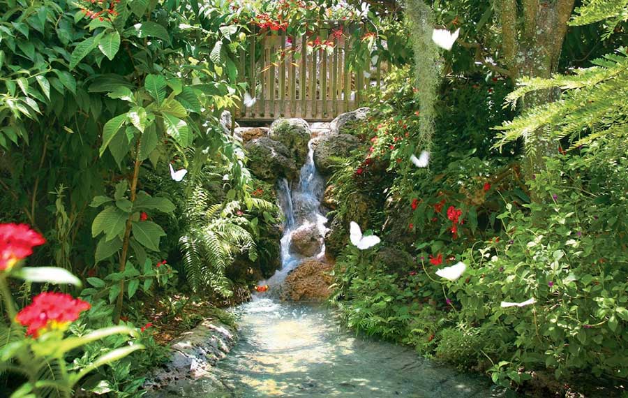 tropical garden with butterflies and waterfall at butterfly world