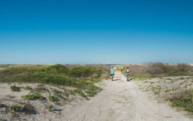 two bicyclists riding on sandy beach paths at little talbot island state park jacksonville