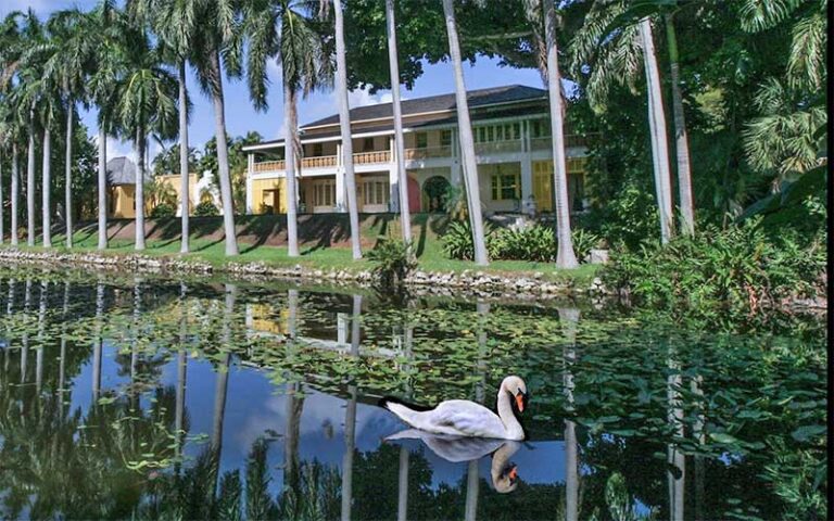 waterfront view of historic home through row of palm trees and swan reflected at bonnet house museum gardens ft lauderdale