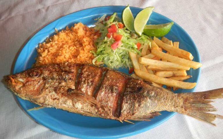 whole fried fish with sides on a blue plate at casita tejas homestead