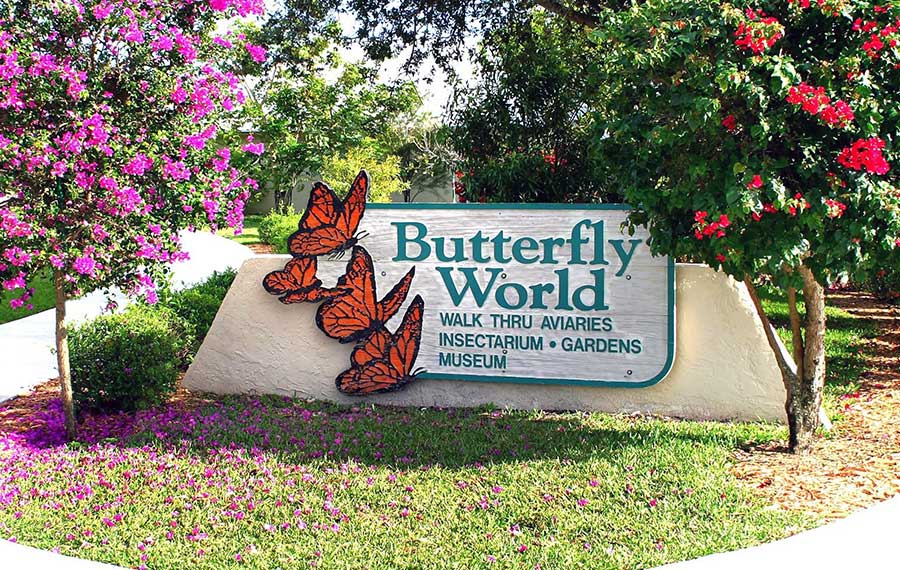 wood painted sign on a wall at the entrance with orange butterflies between blooming trees at butterfly world ft lauderdale post