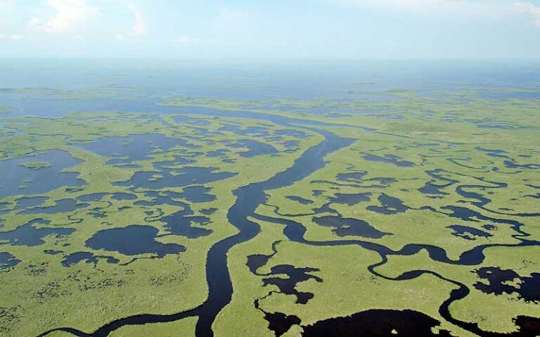 aerial view of miles of wetlands at everglades national park miami