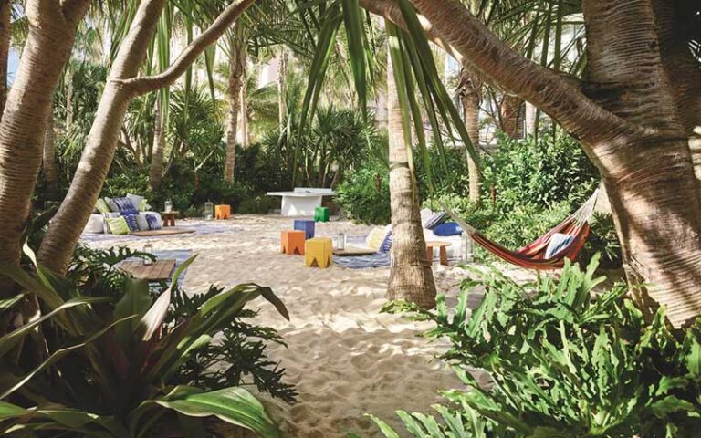 beach oasis area with hammocks trees seating and chairs at the miami beach edition