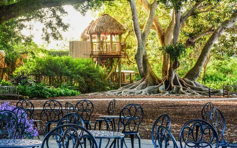 childrens play area with exotic trees and patio seating at marie selby botanical gardens sarasota