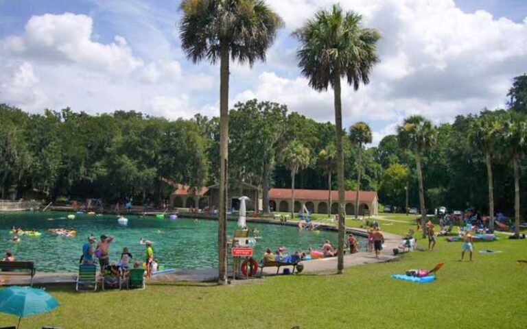 circular crowded swimming area with concrete bank and palm trees at de leon springs state park